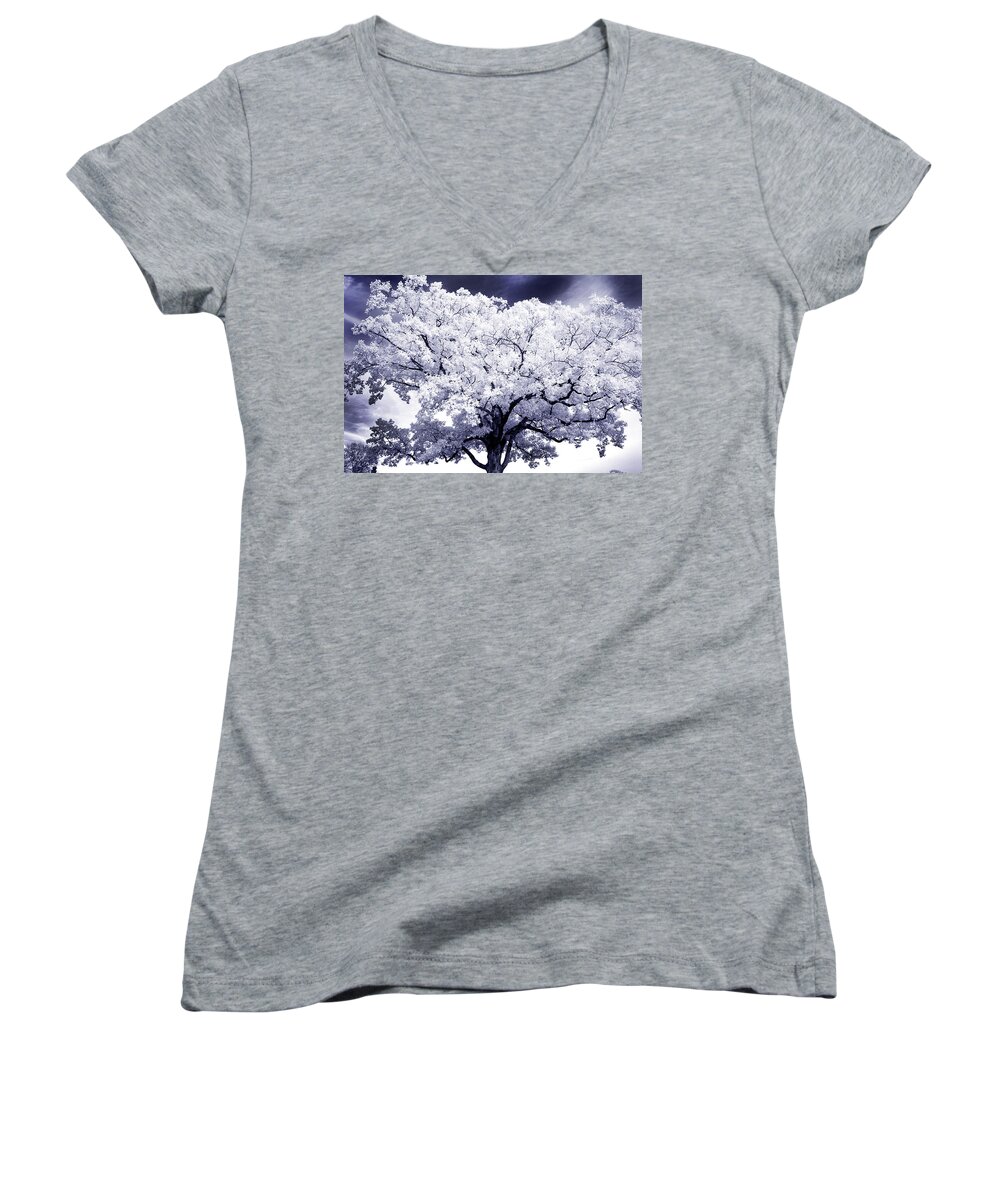 Tree Women's V-Neck featuring the photograph Tree by Paul W Faust - Impressions of Light