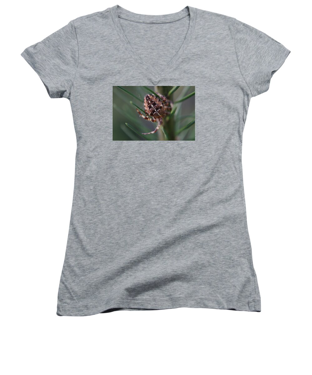 Adria Trail Women's V-Neck featuring the photograph Tree Weaver by Adria Trail