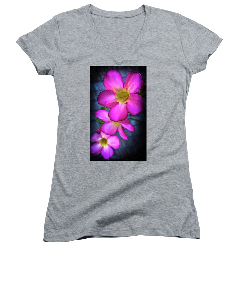 Plumeria Women's V-Neck featuring the photograph Tropical Bliss by Karen Wiles
