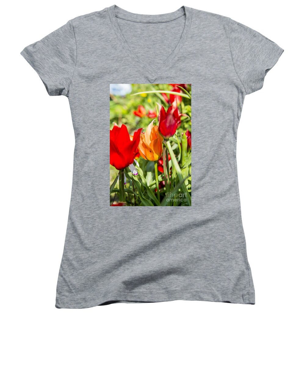 Spring Women's V-Neck featuring the photograph Tulip - The orange one 02 by Arik Baltinester