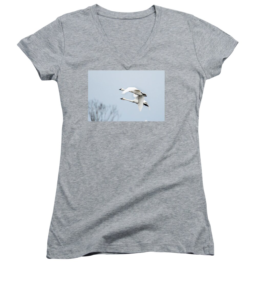 Nature Women's V-Neck featuring the photograph Tundra Swan Lift-Off by Donald Brown