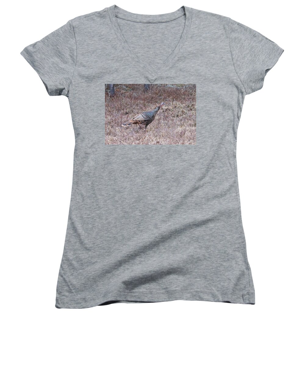 Meleagris Gallopavo Women's V-Neck featuring the photograph Turkey 1155 by Michael Peychich