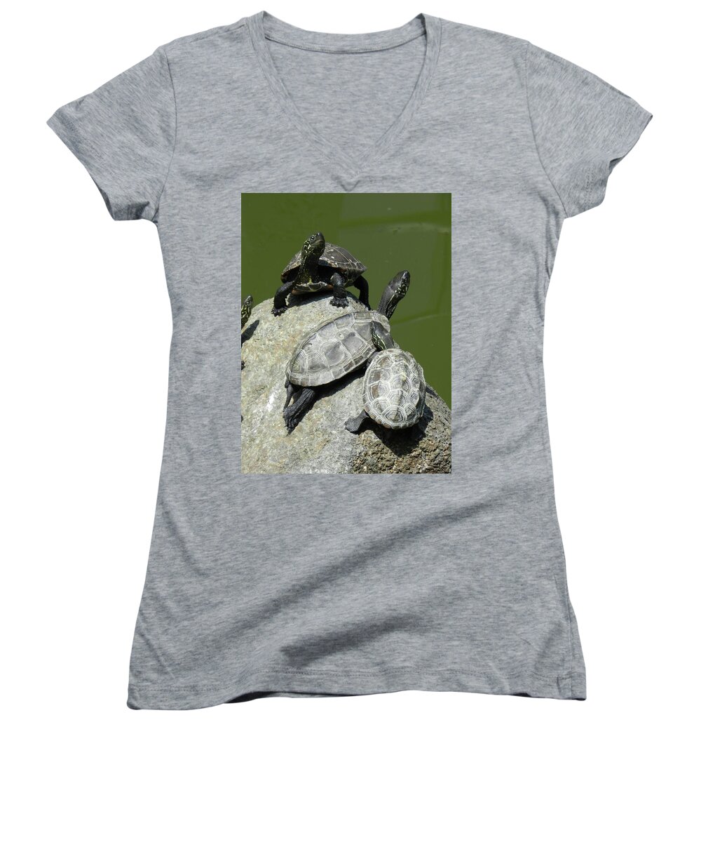 Turtles Women's V-Neck featuring the photograph Turtles at a temple in Narita, Japan by Breck Bartholomew