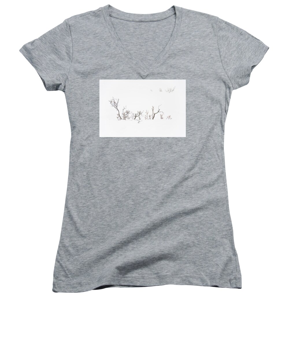 Twigs Women's V-Neck featuring the photograph Twigs in Snow by Bryan Carter