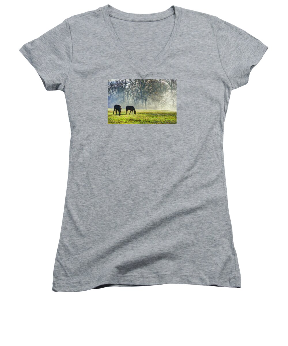 Horse Women's V-Neck featuring the photograph Two Horse Morning by Sam Davis Johnson