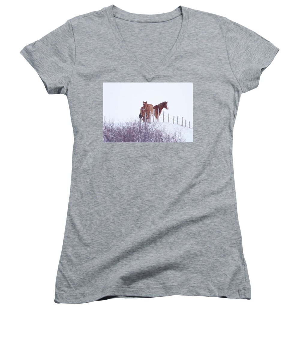 Horses Women's V-Neck featuring the photograph Two Horses in the Snow by Alyce Taylor