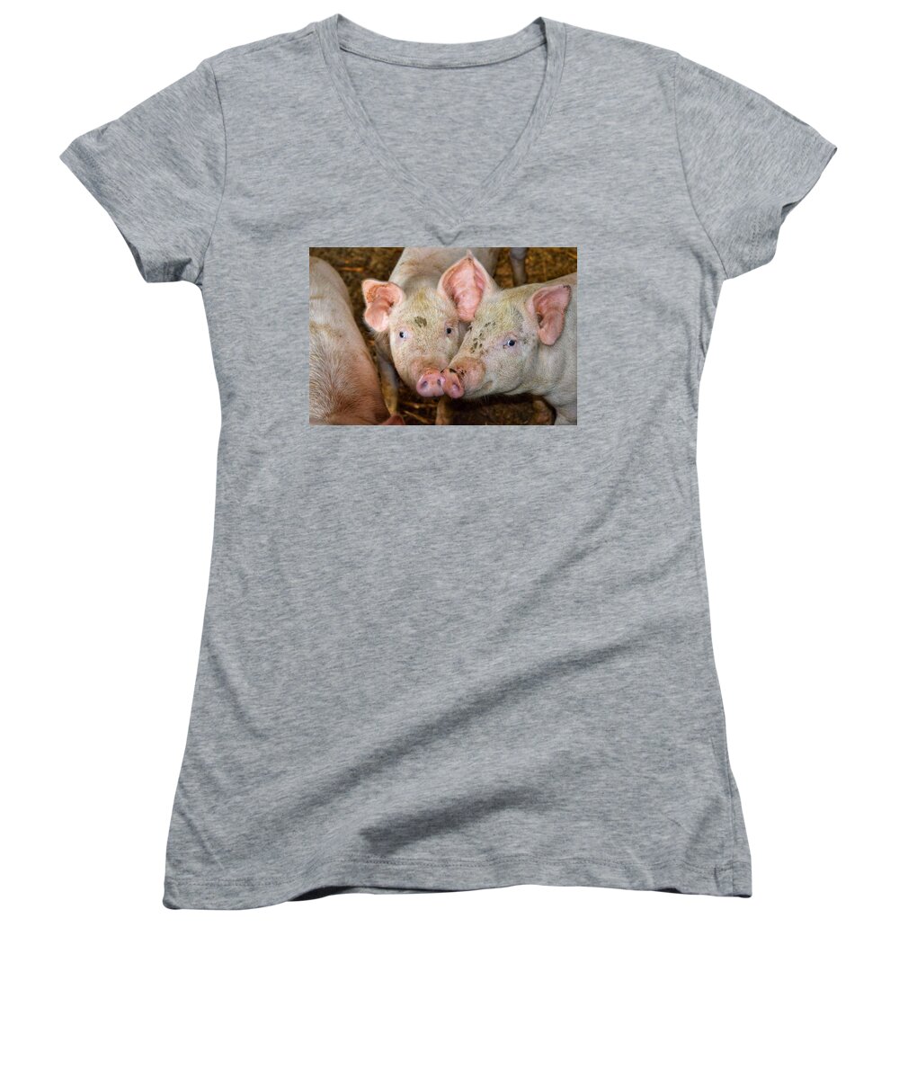 Pig Women's V-Neck featuring the photograph Two Pigs by Joseph Caban