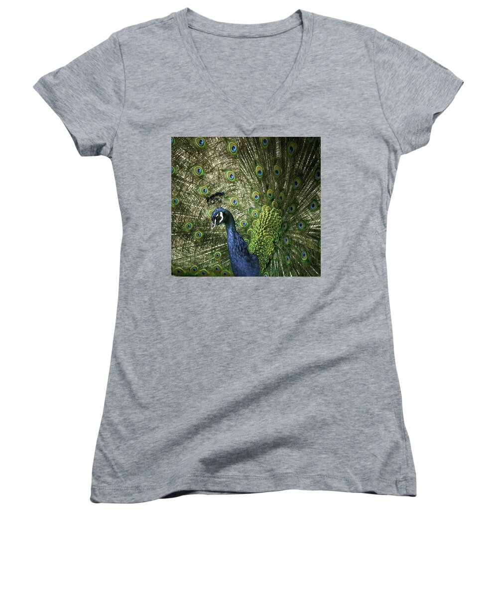 Male Peacock Women's V-Neck featuring the photograph Vibrant Peacock by Jason Moynihan