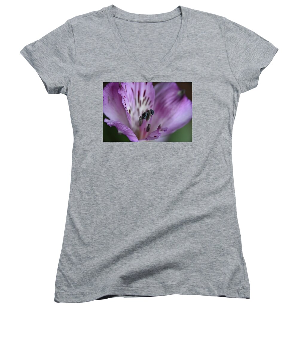 Flower Women's V-Neck featuring the photograph Violet by Kuni Photography