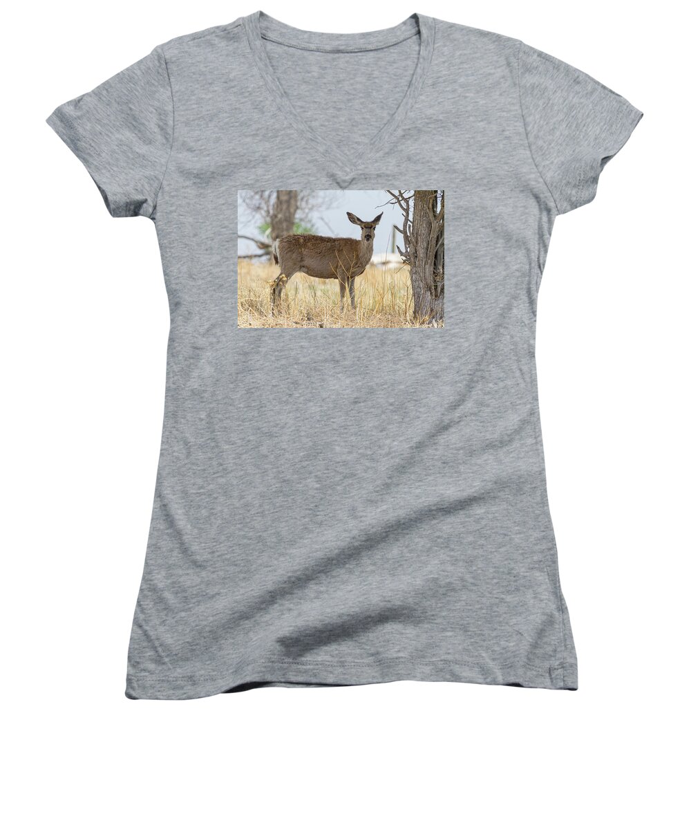 Mule Deer Women's V-Neck featuring the photograph Watching From the Woods by James BO Insogna