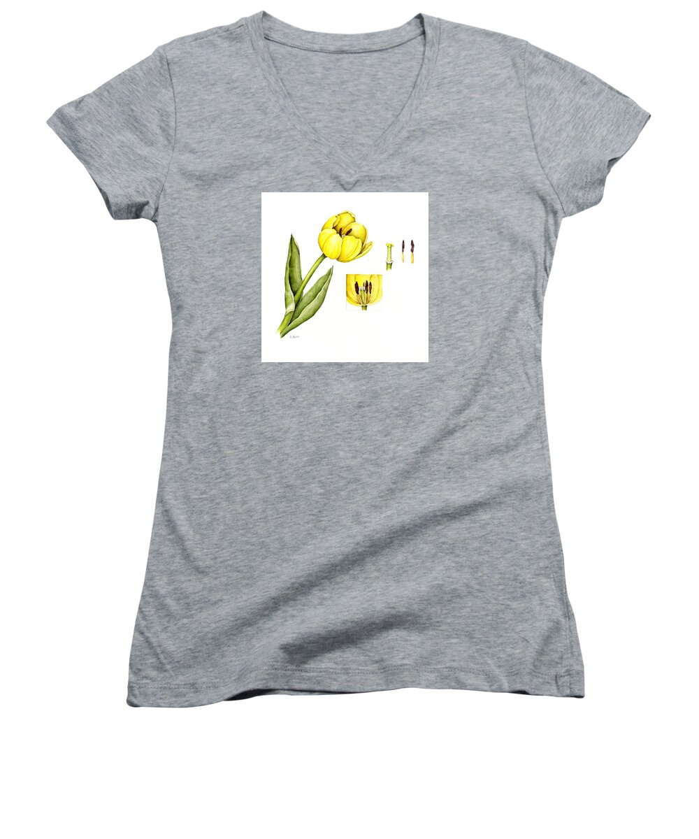 Flower Women's V-Neck featuring the painting Watercolor Flower Yellow Tulip by Karla Beatty
