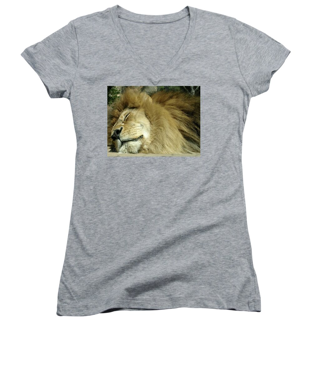 Lion Women's V-Neck featuring the photograph We All Like to Pass as Cats by Gia Marie Houck