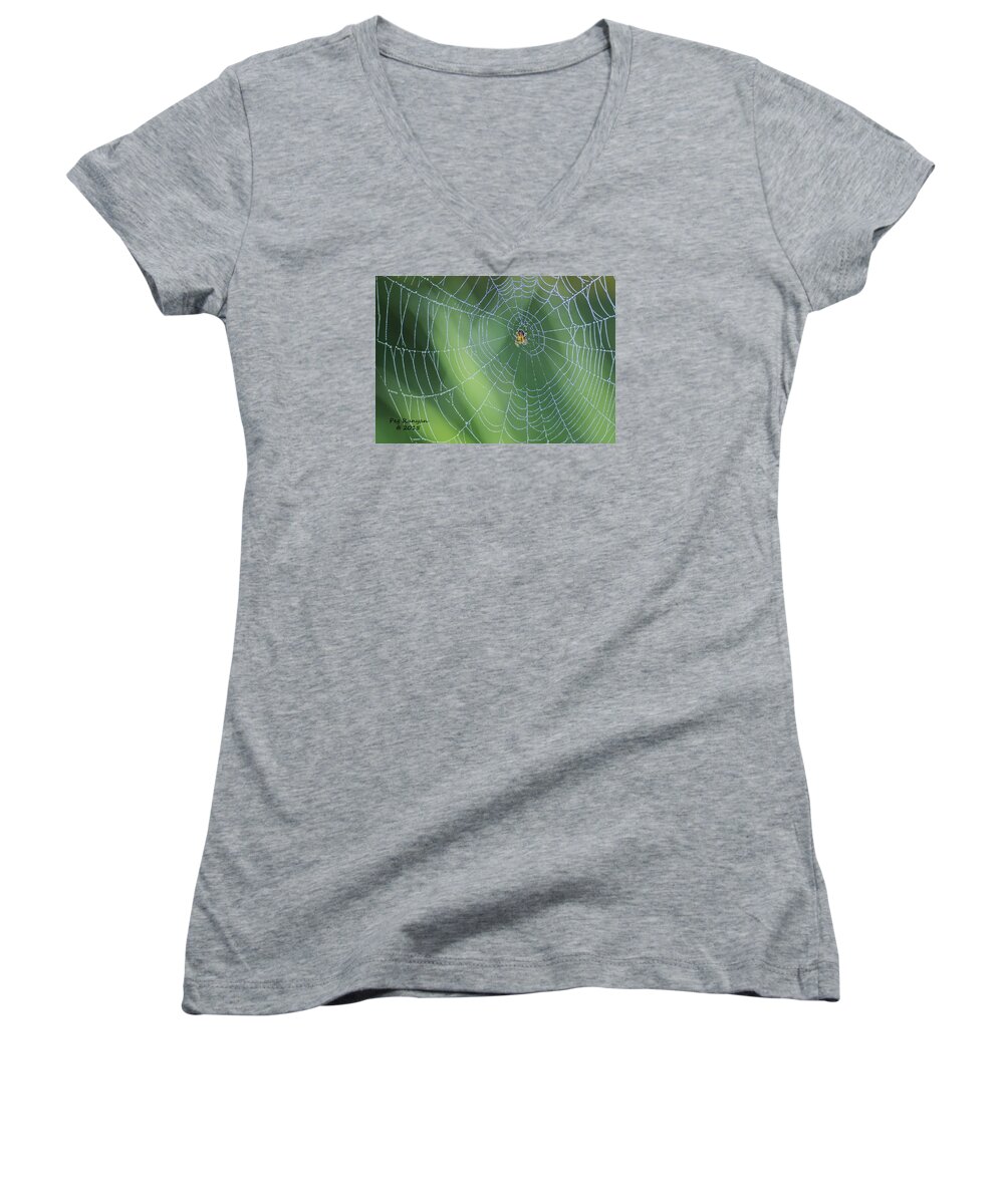 Spider Women's V-Neck featuring the photograph Webmaster by Peg Runyan