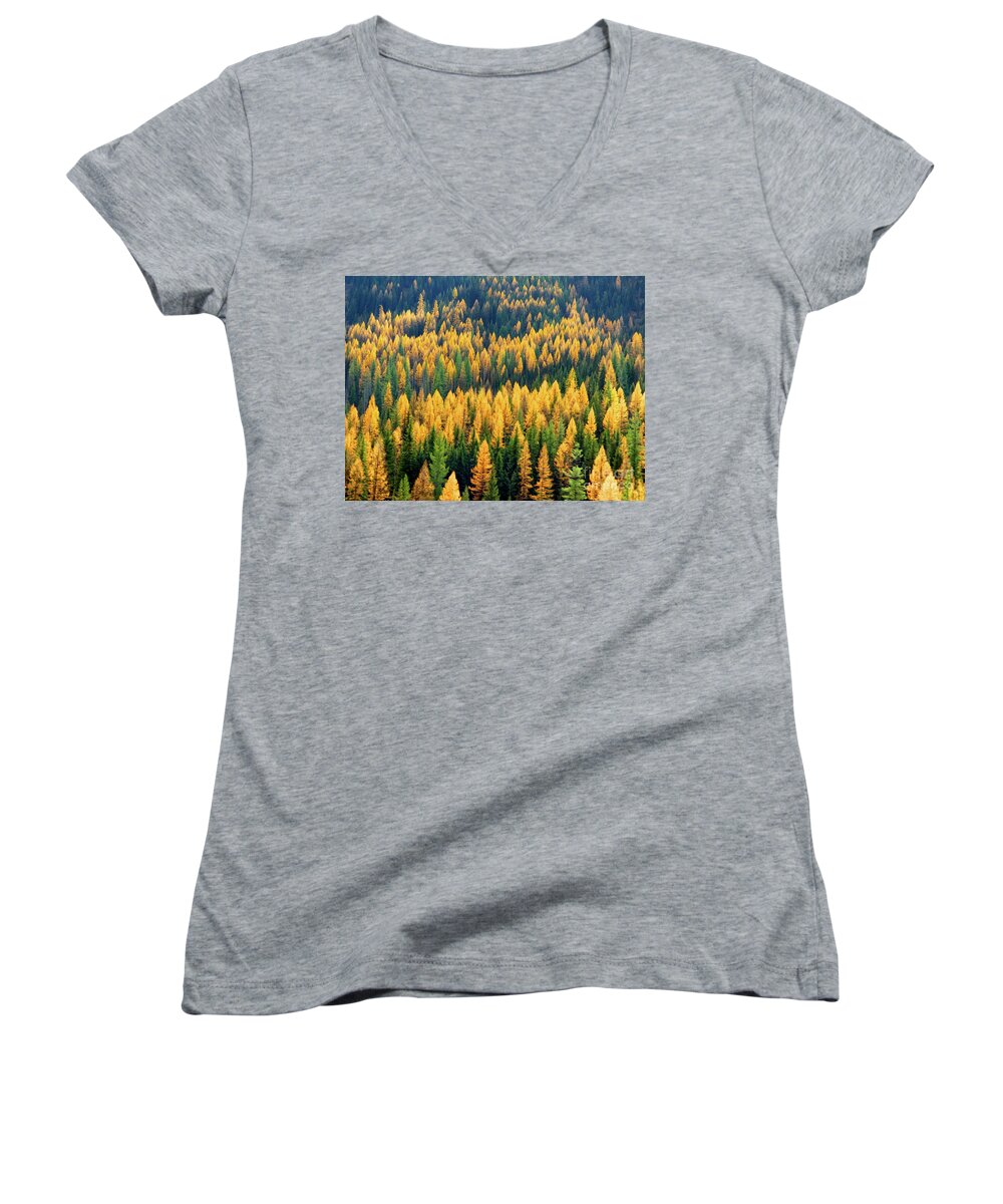 Larch Women's V-Neck featuring the photograph Western Larch by Jean Wright