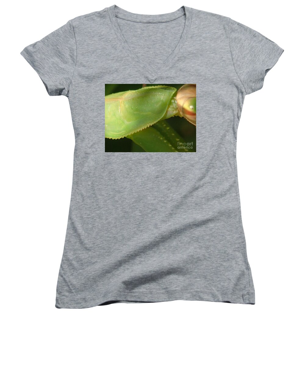 Nature Women's V-Neck featuring the photograph What Am I? #1 by Christina Verdgeline