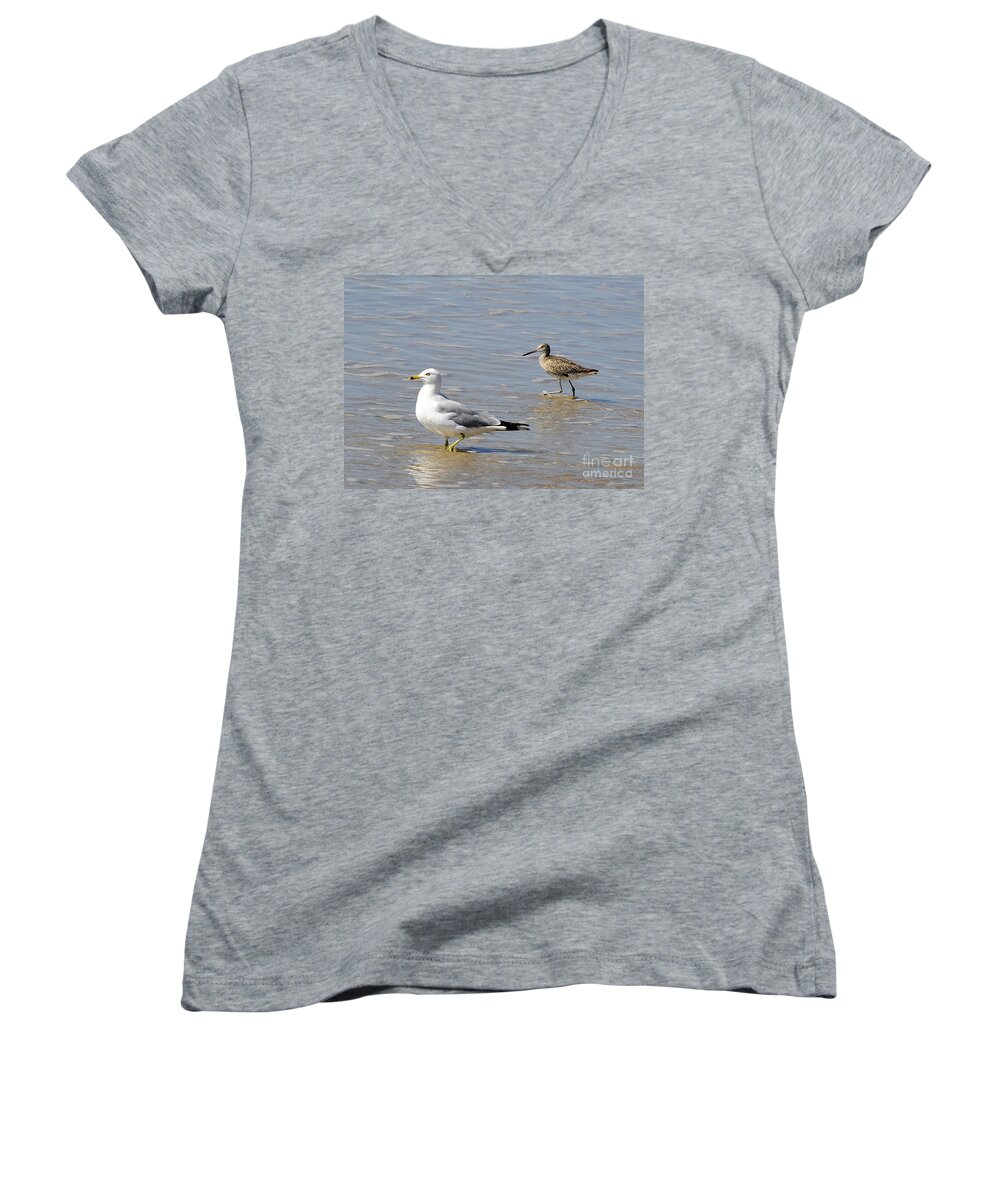 Birds Women's V-Neck featuring the photograph Outer Banks OBX #10 by Buddy Morrison