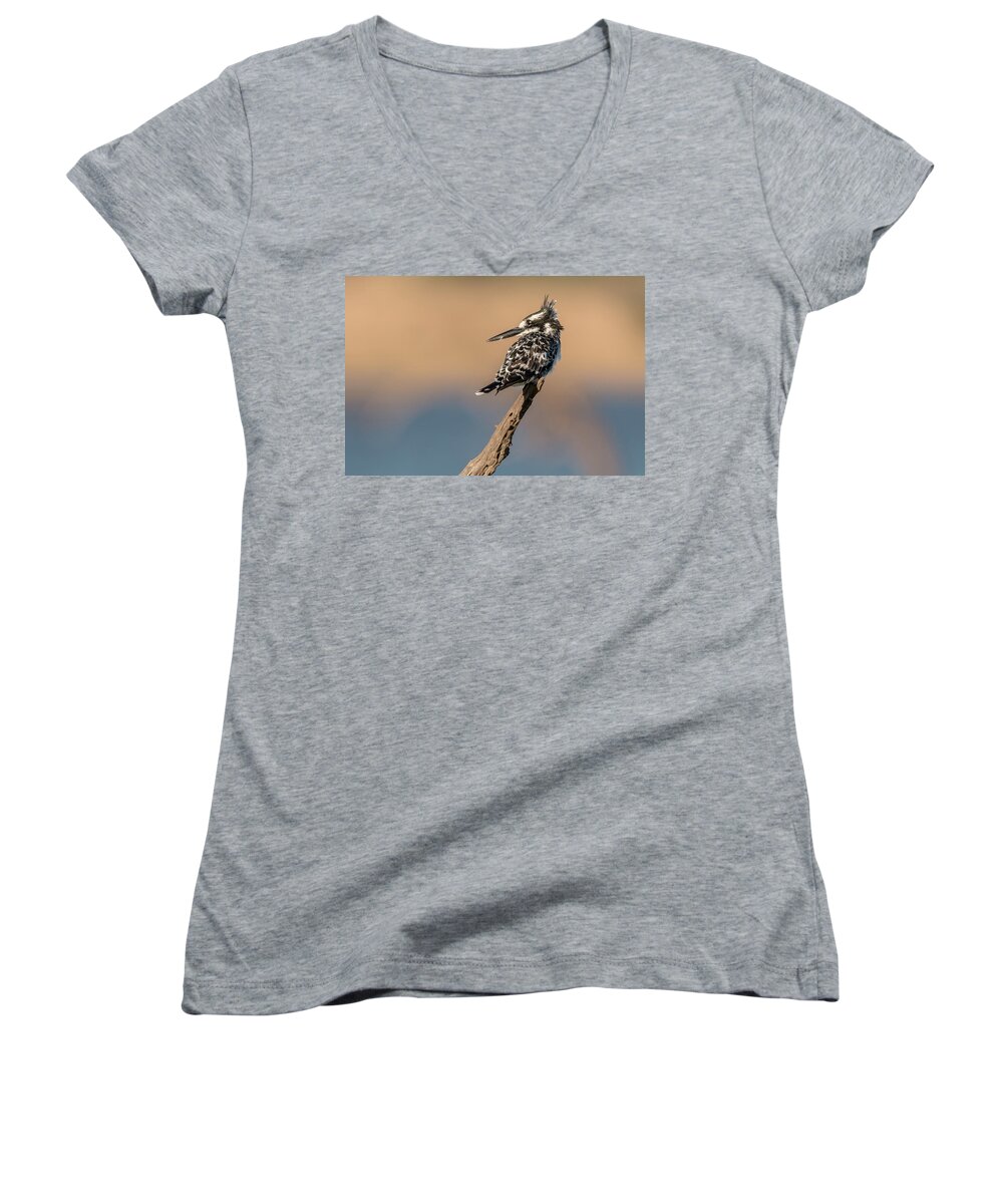 Africa Women's V-Neck featuring the photograph What Was That You Said by James Capo