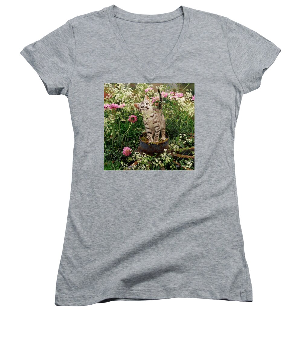 Hedge Parsley Women's V-Neck featuring the photograph Wheely nice Flowers by Warren Photographic