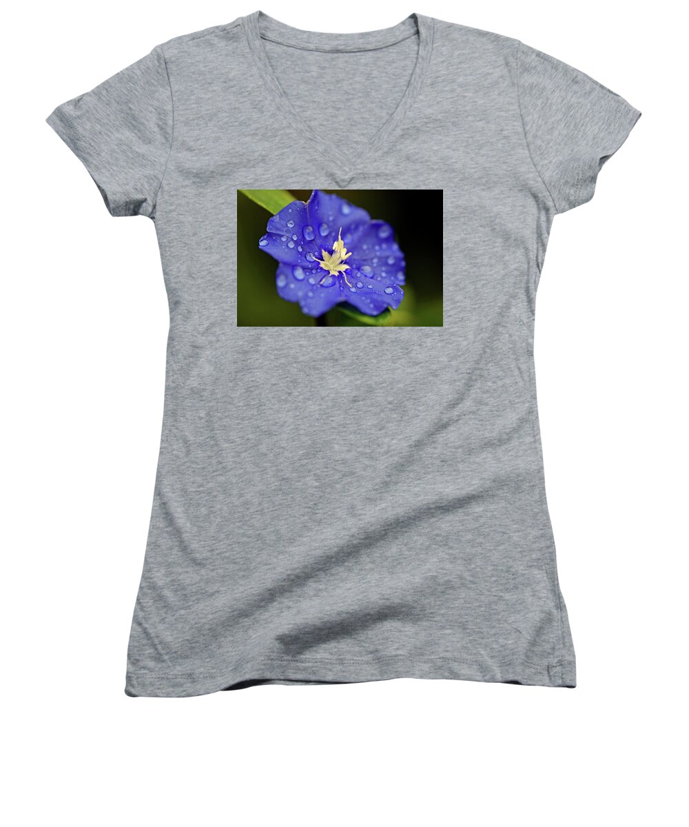 Flower Women's V-Neck featuring the photograph When Old Becomes New by Melanie Moraga