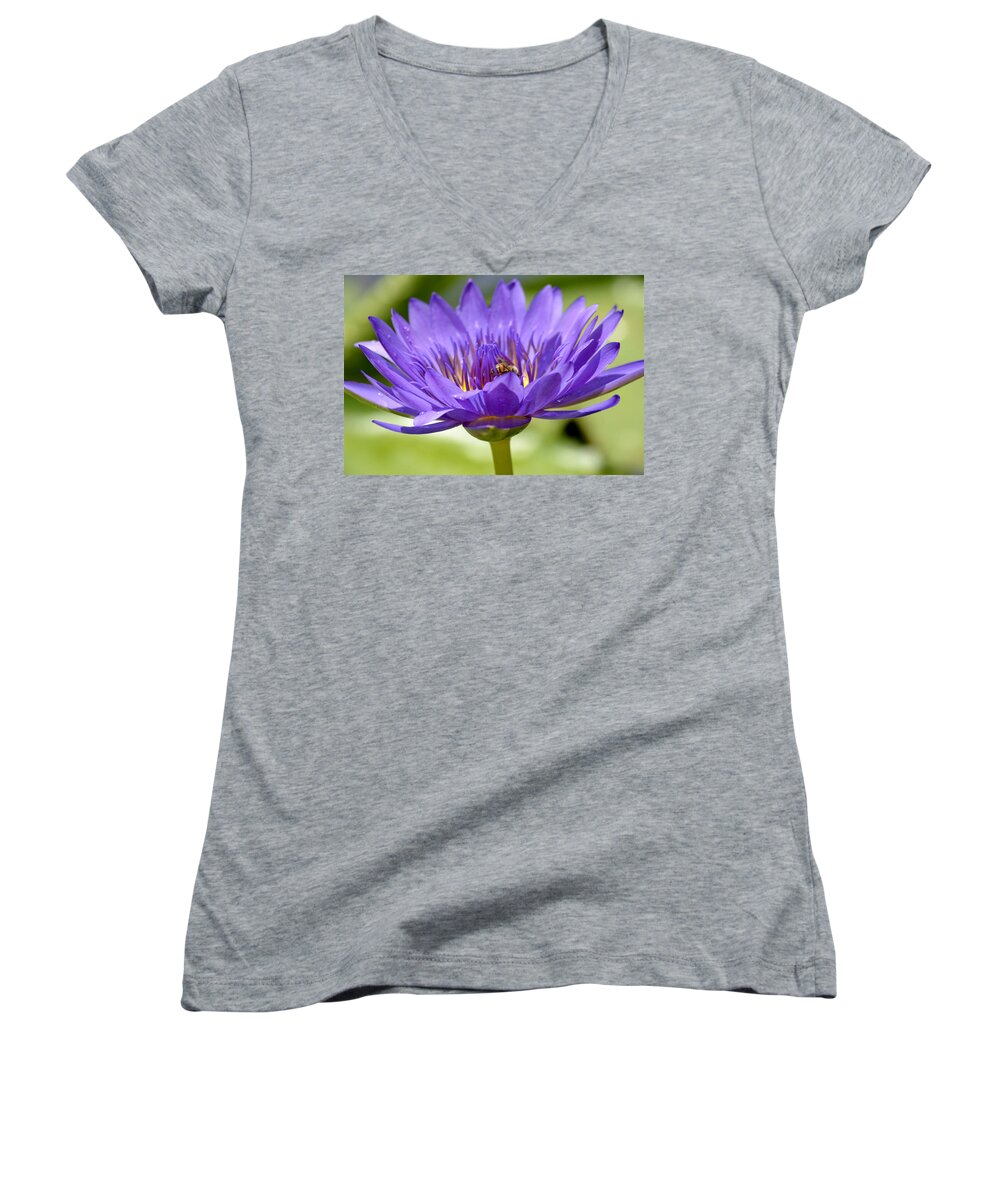 Water Lily Women's V-Neck featuring the photograph When The Lily Blooms by Melanie Moraga