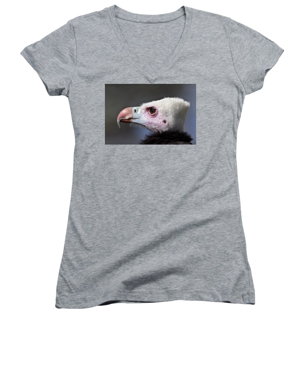 White-headed Vulture Women's V-Neck featuring the photograph White-headed Vulture Portrait by Aivar Mikko