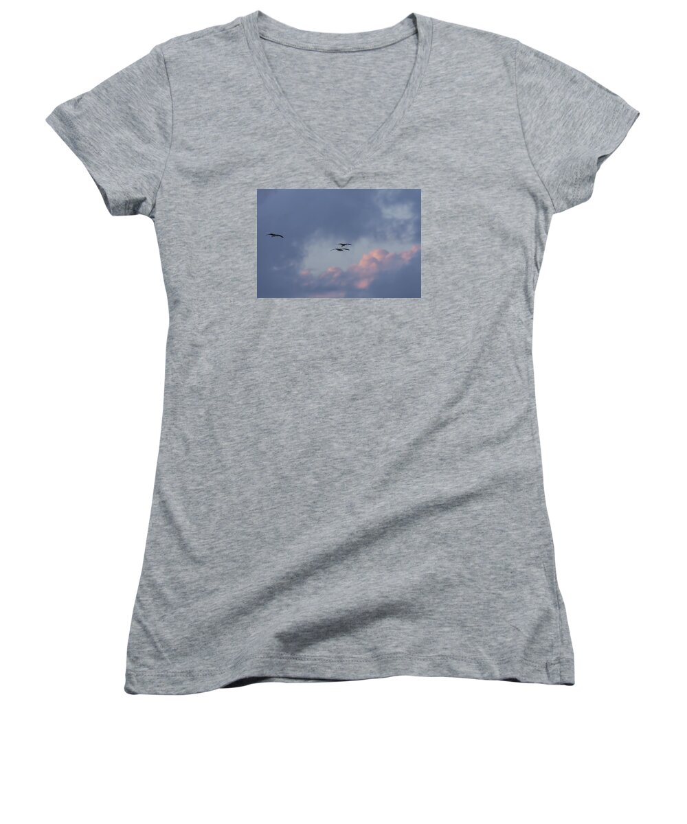 American Women's V-Neck featuring the photograph White Ibis in flight at sunset by David Watkins