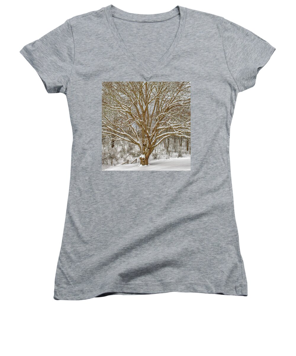 Landscape Women's V-Neck featuring the photograph White Oak in Snow by Joe Shrader
