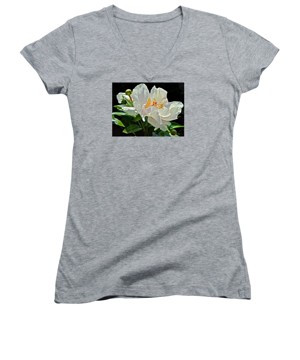 Peony Women's V-Neck featuring the photograph White Peony by Janis Senungetuk