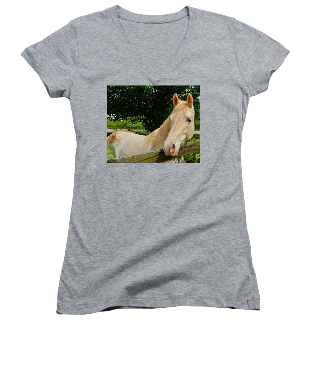 Horse Women's V-Neck featuring the photograph Whitey by Eileen Brymer