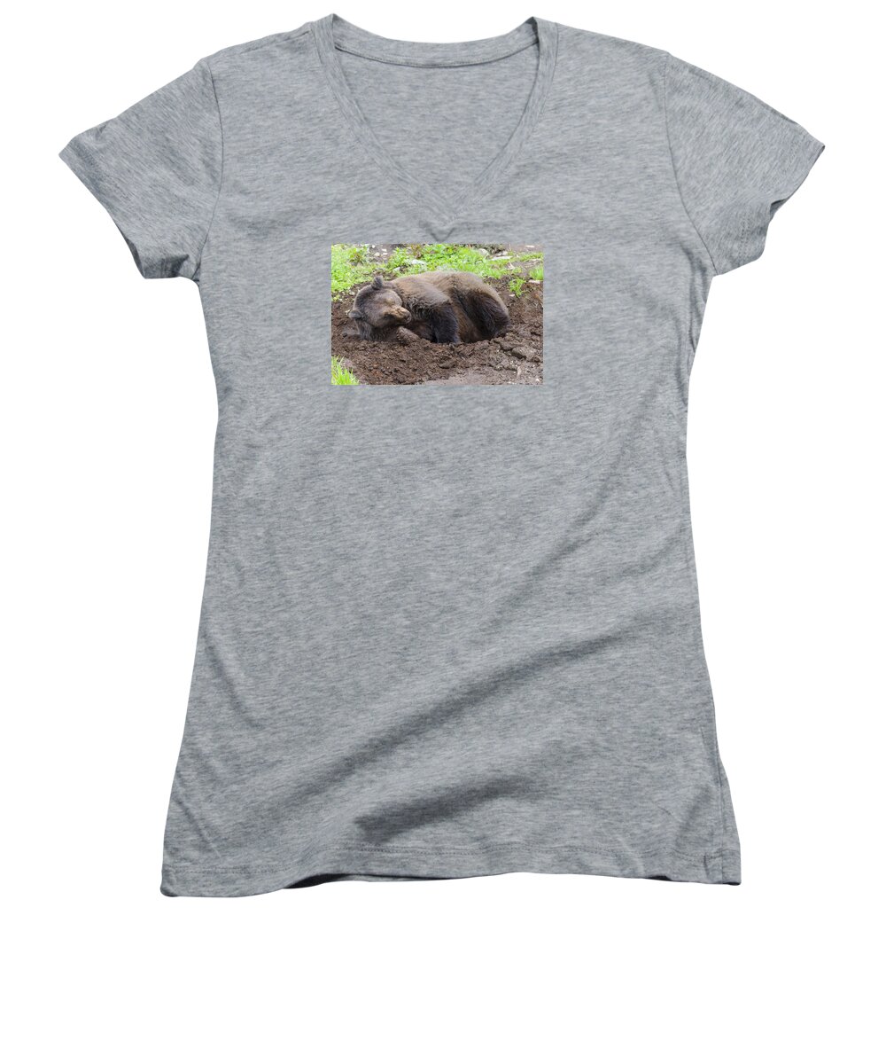 Wildlife. Brown Bear Women's V-Neck featuring the photograph Whose Making Noise by Harold Piskiel