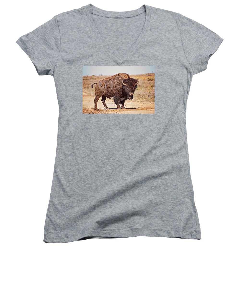 Wild Women's V-Neck featuring the photograph Wild Bison by Donna Doherty