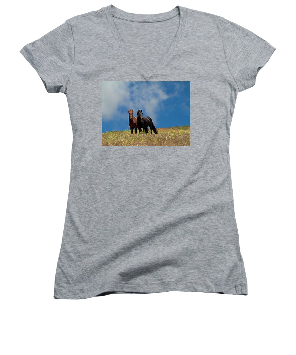 Horses Women's V-Neck featuring the photograph Wild Stallions together by Waterdancer