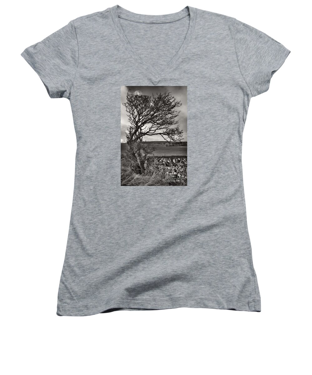 Tree Women's V-Neck featuring the photograph Windswept Tree in Winter by Martyn Arnold