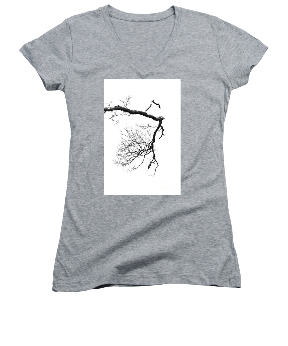  Scenic Women's V-Neck featuring the photograph Wintered Over by Skip Willits