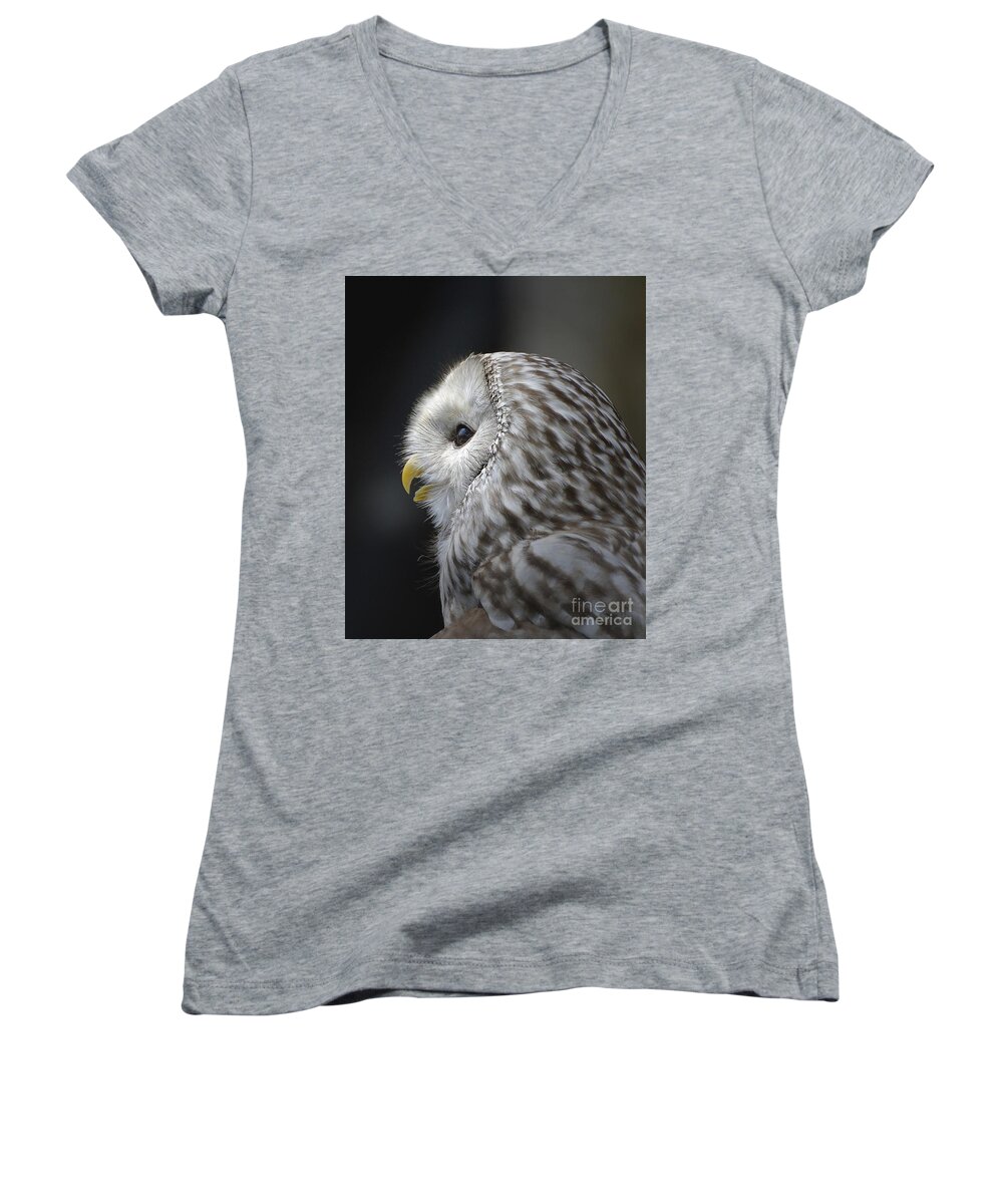 Owl Women's V-Neck featuring the photograph Wise Old Owl by Kathy Baccari