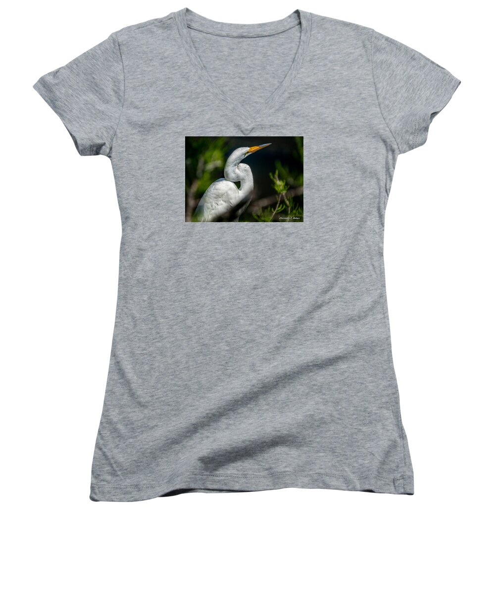 Christopher Holmes Photography Women's V-Neck featuring the photograph White Egret 2 by Christopher Holmes