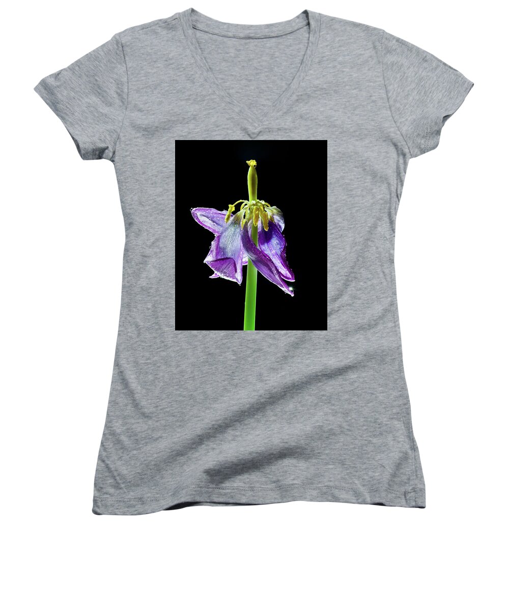 Tulip Women's V-Neck featuring the photograph Withering Beauty by Adam Reinhart