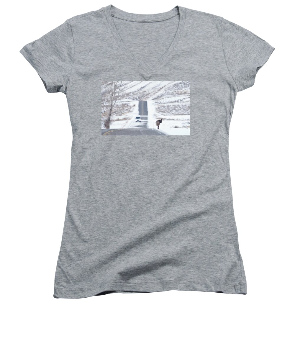 Travel Women's V-Neck featuring the photograph Wolf Land by Eilish Palmer