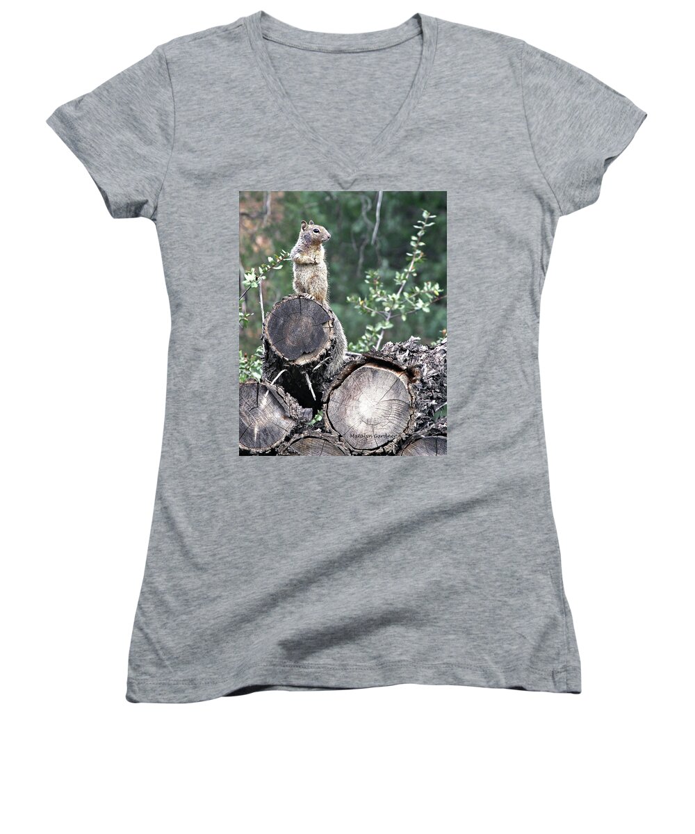 Squirrel Women's V-Neck featuring the photograph Woodpile Squirrel by Matalyn Gardner