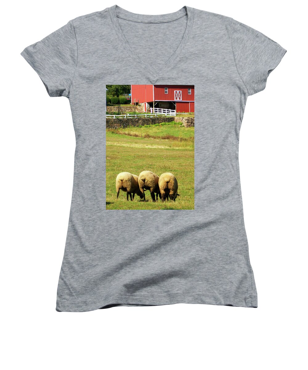 Sheep Women's V-Neck featuring the photograph Wooly Bully by Trish Tritz