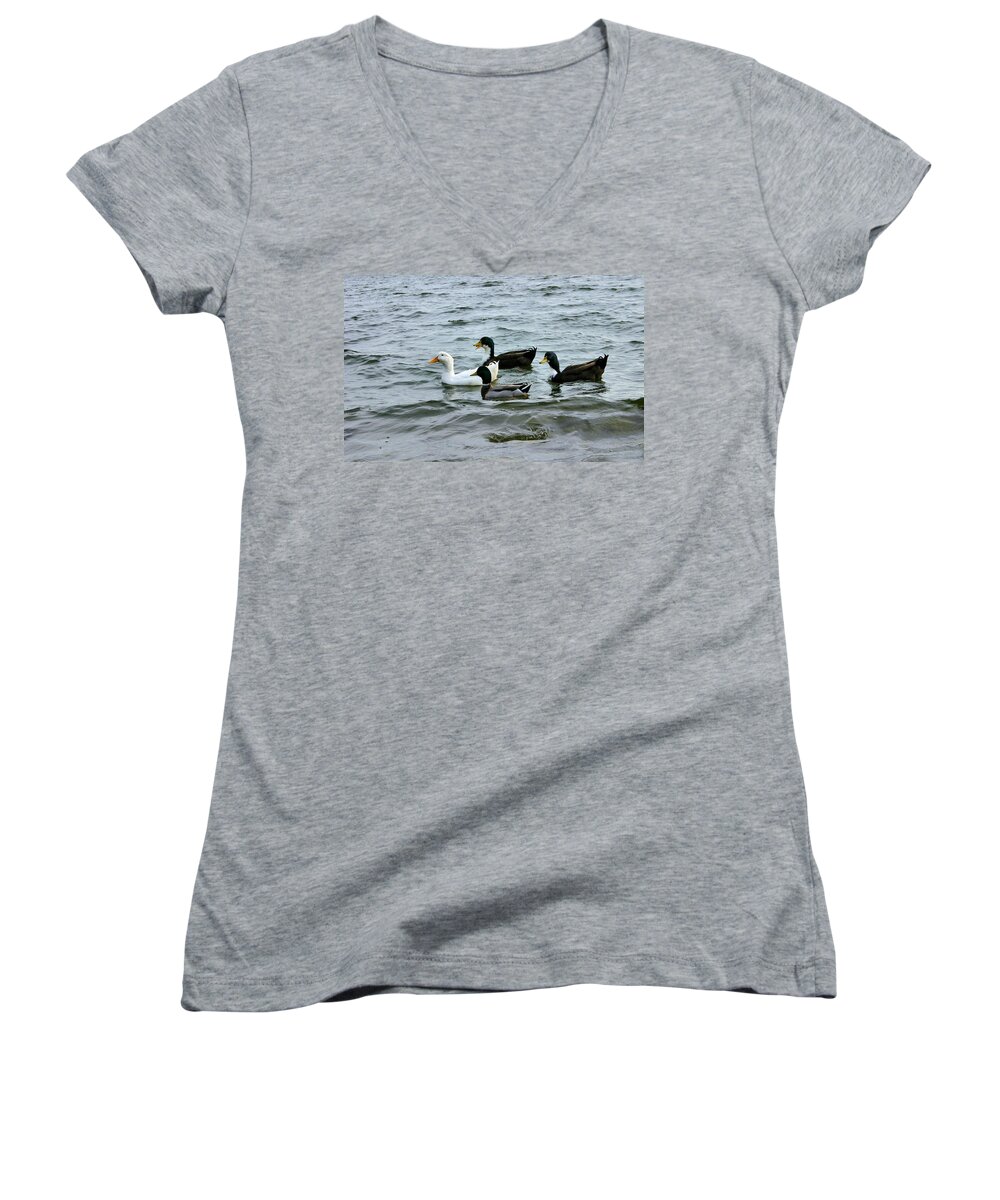 Ducks Women's V-Neck featuring the photograph Yak Yak Yak One in Every Crowd by Kristin Elmquist