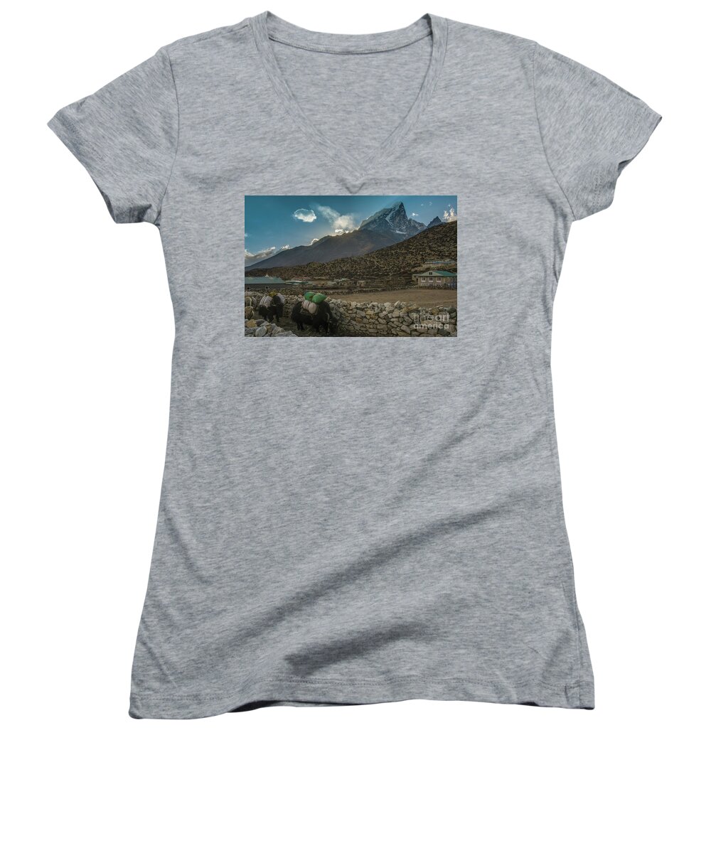 Everest Women's V-Neck featuring the photograph Yaks Moving Through Dingboche by Mike Reid