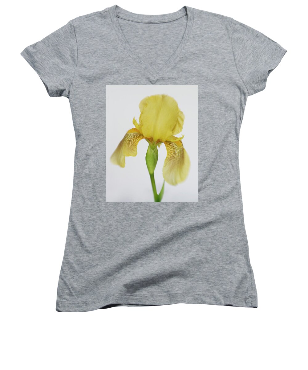 Bloom Women's V-Neck featuring the photograph Yellow Iris a Symbol of Passion by David and Carol Kelly