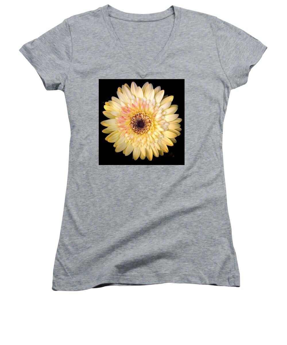 Scoobydrew81 Andrew Rhine Flower Flowers Yellow Pink Cream Petals Bloom Blooms Macro Botanical Black Contrast Petal Botanical Botany Floral Flora Simple Round Spring Gerbera Daisy Art Sunny Soft Women's V-Neck featuring the photograph Yellow Pink Bloom 1 by Andrew Rhine