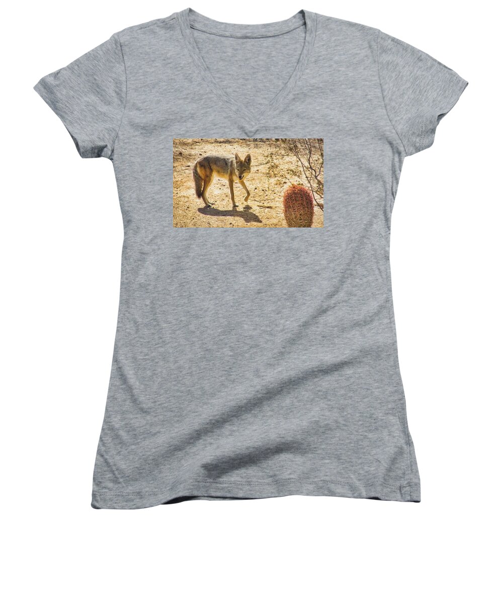 Arizona Women's V-Neck featuring the photograph Young Coyote and Cactus by Judy Kennedy