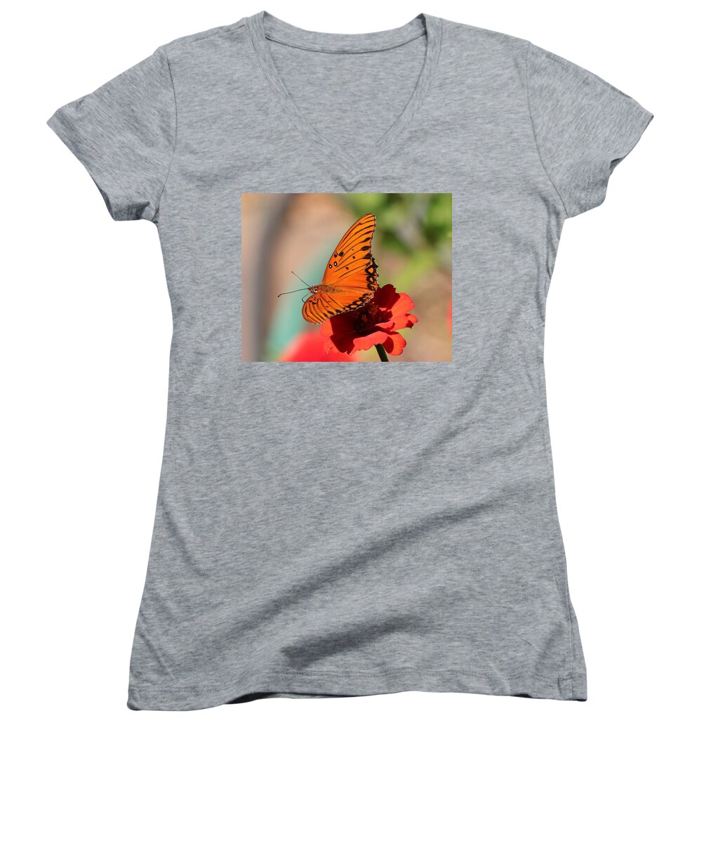 Flower Women's V-Neck featuring the photograph Zinnia with Butterfly 2669 by John Moyer