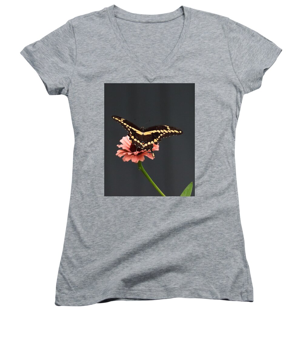 Zinnia Women's V-Neck featuring the photograph Zinnia with Butterfly 2708 by John Moyer