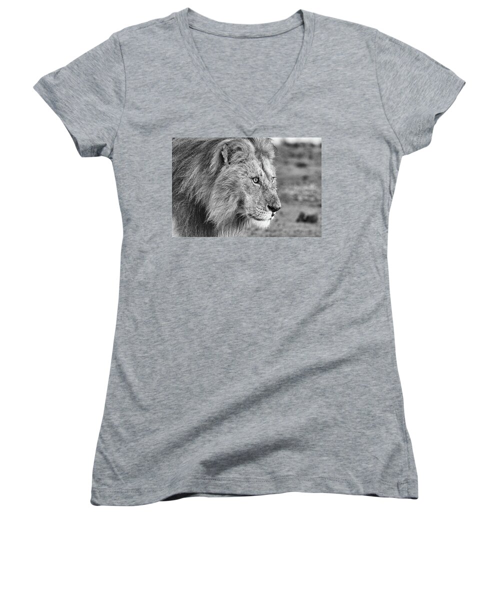 Lion Women's V-Neck featuring the photograph A Monochrome Male Lion by Mark Hunter
