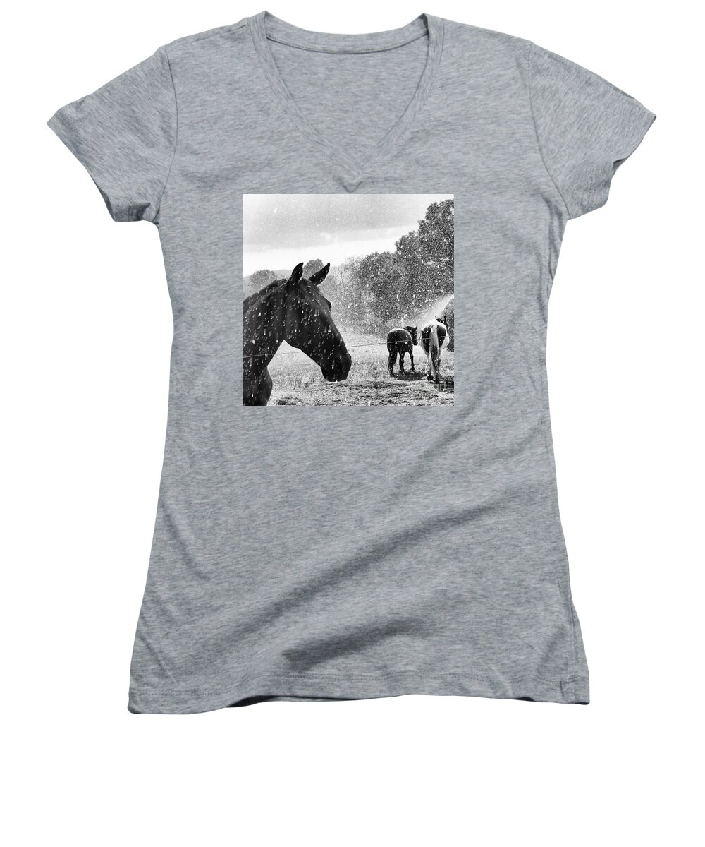 Horses Women's V-Neck featuring the photograph A Rainy Summer Day by Rabiah Seminole