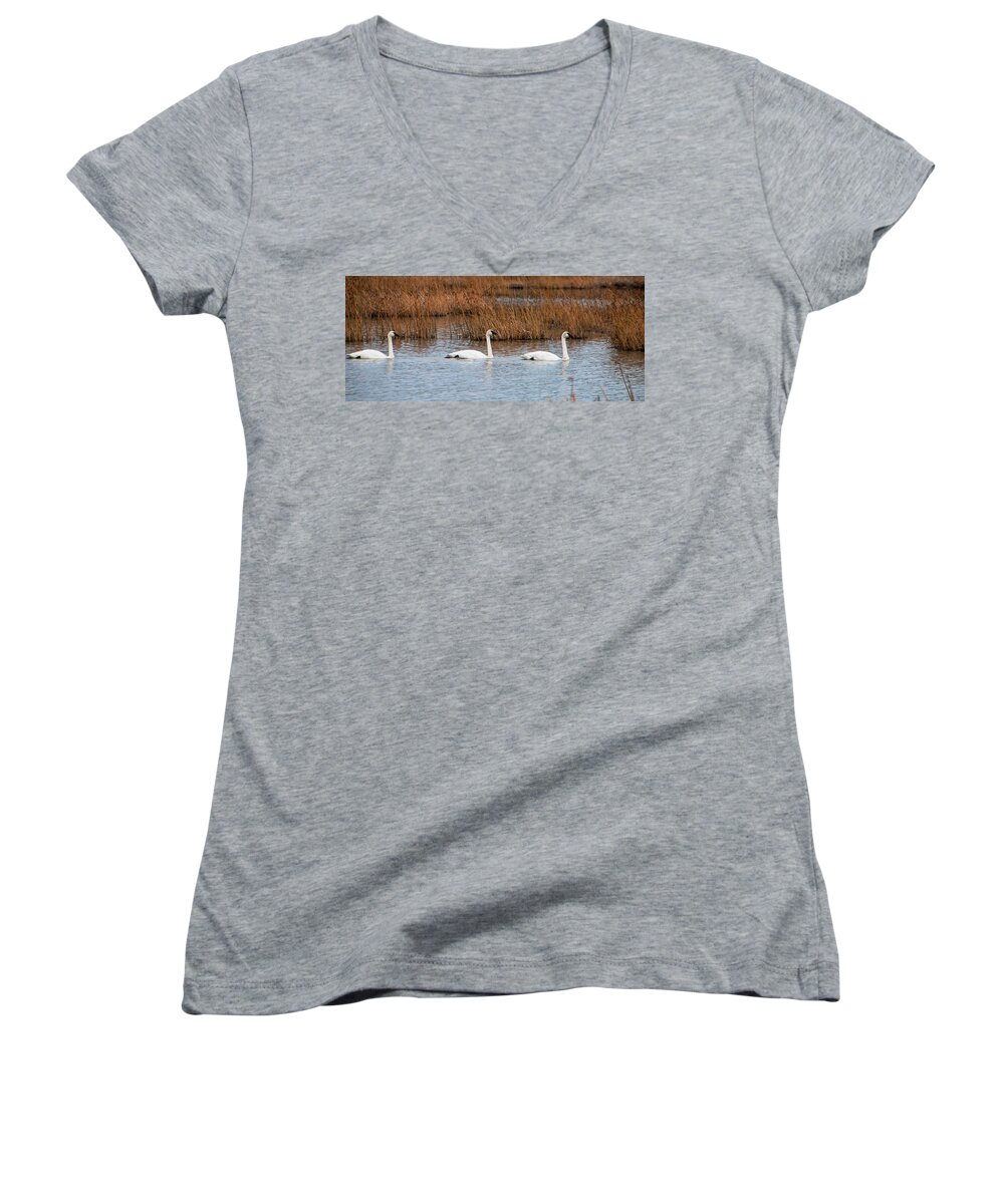 A Trio Of Swans Women's V-Neck featuring the photograph A Trio of Swans by Phyllis Taylor